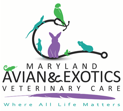 Veterinary center for birds best sale & exotics