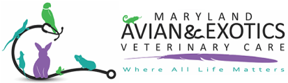 About Maryland Avian & Exotics 