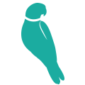 Bird Veterinary Care 
