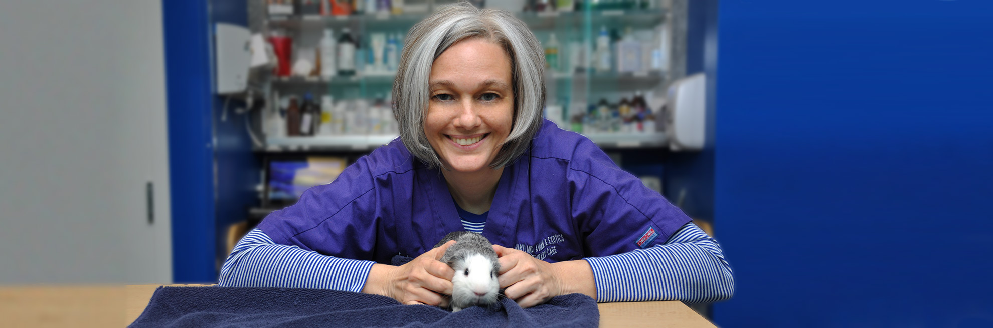 Meet Veterinarian Lisa Carr